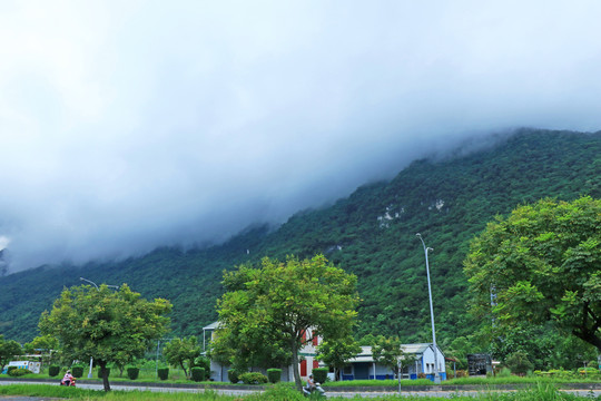 翠绿山间