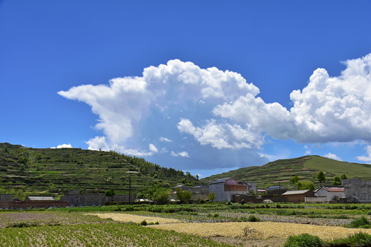 乡村风光