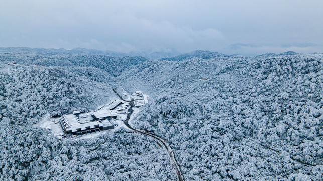 重庆金佛山雪白的童话世界