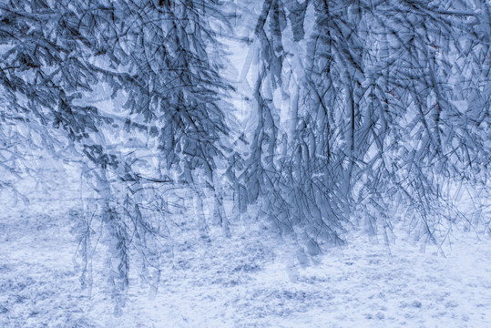 重庆金佛山雪白的童话世界