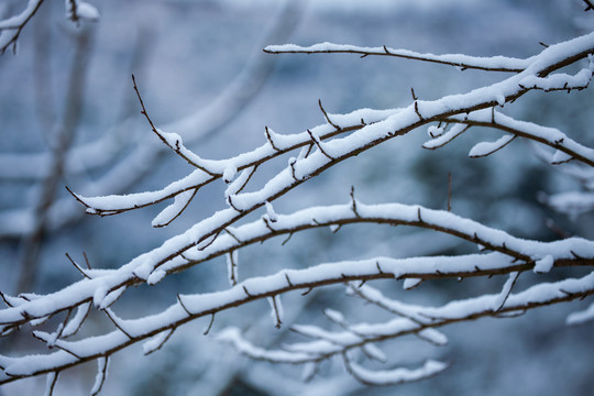 雪