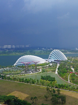 新加坡植物园
