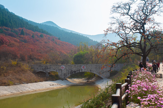 潍坊官护山风景区