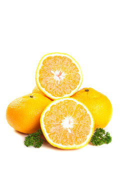 赣州橘柚