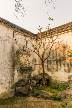 园林小景