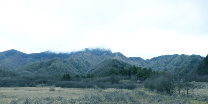 山景