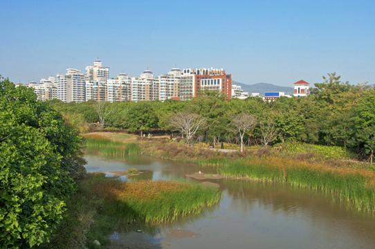 泉州北滨江公园风景