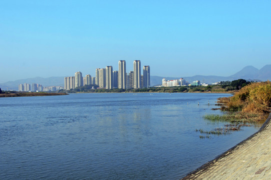 沿江冬景