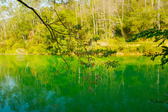 碧绿的翡翠湖