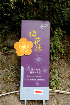 指示牌