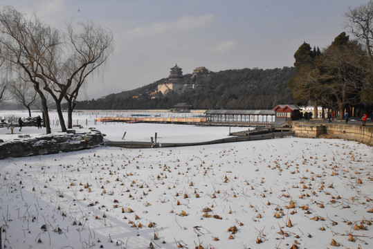 颐和园雪景