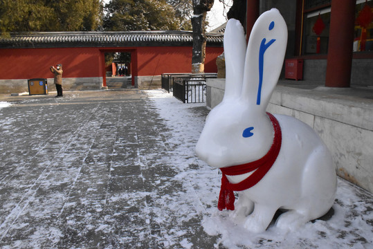 颐和园雪景