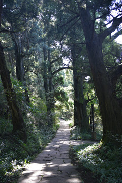 剑门蜀道