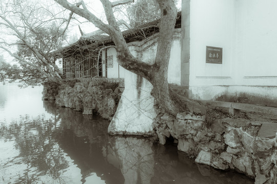 冬日沧浪亭
