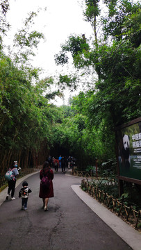 成都大熊猫园林