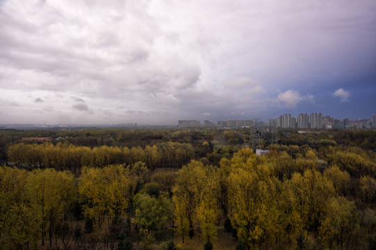 北京奥林匹克森林公园