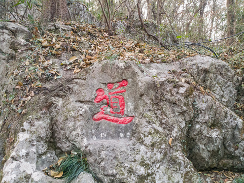 杭州玉皇山摩崖石刻