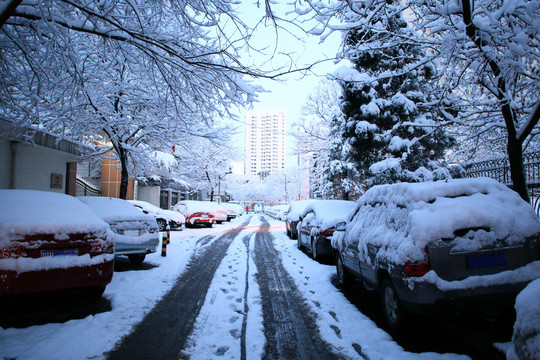 雪后街景