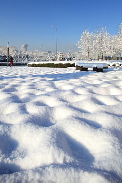 雪景