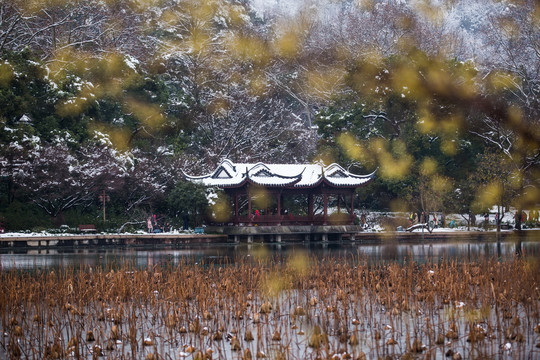 西湖雪韵