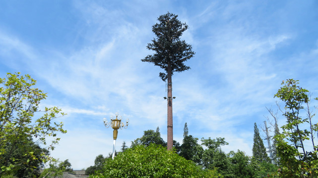 树状信号塔