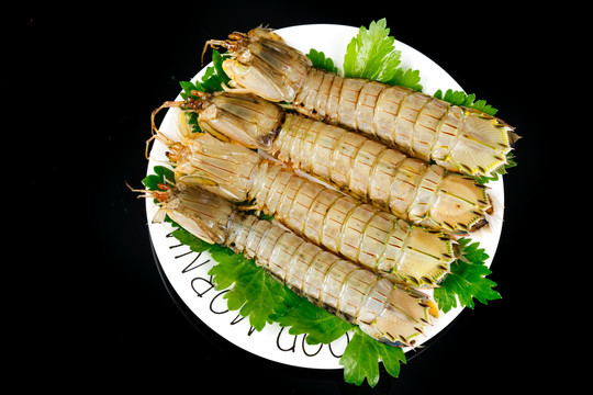 琵琶虾