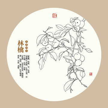 手绘林檎