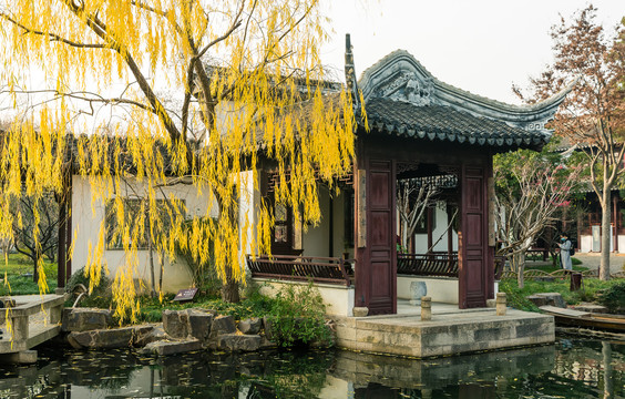 可园景观