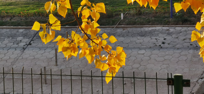 秋色