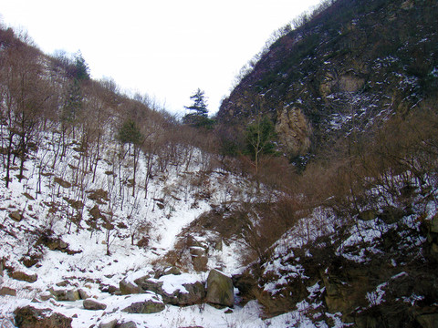 秦岭雪景