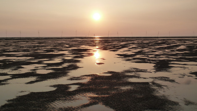 海边日出