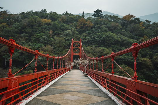 巴陵古道