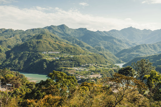 台湾森林景观