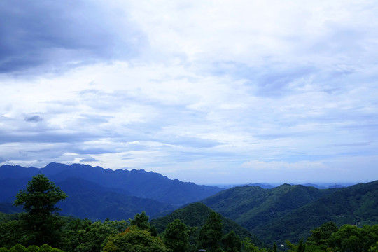 台湾森林景观