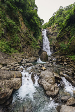 台湾森林景观