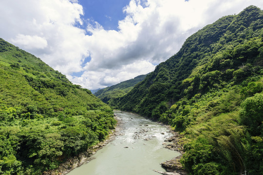 台湾森林景观