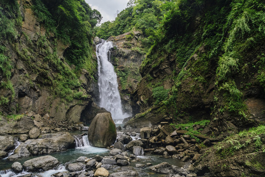 台湾森林景观