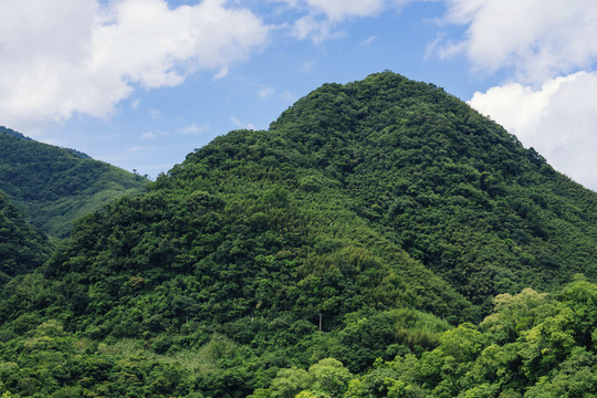 台湾桃园风景