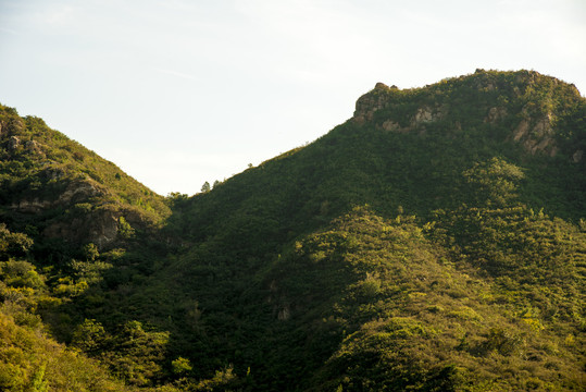 青山高山山峰