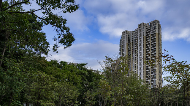 远眺深圳建筑