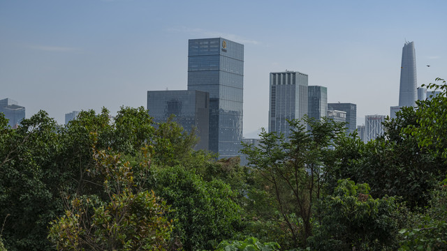 远眺深圳市中心建筑