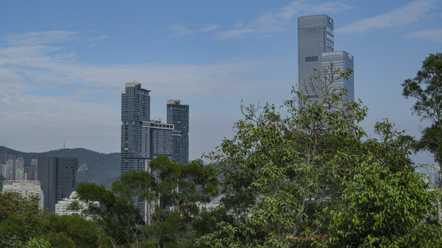 远眺深圳市中心建筑