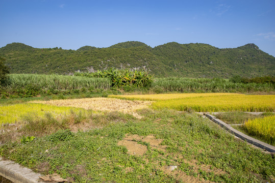 田园风景