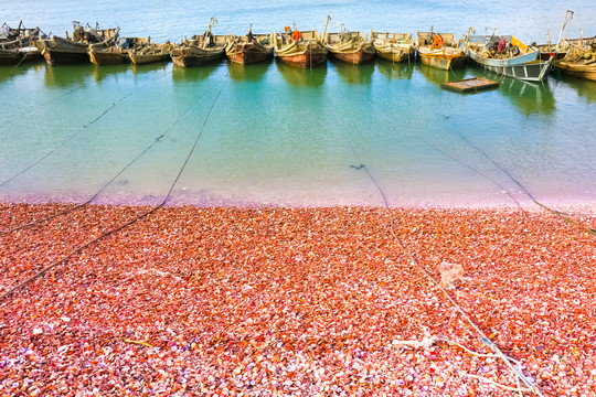 海边大海红海滩