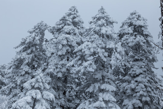 四川川西甘孜泸定县海螺沟雪景