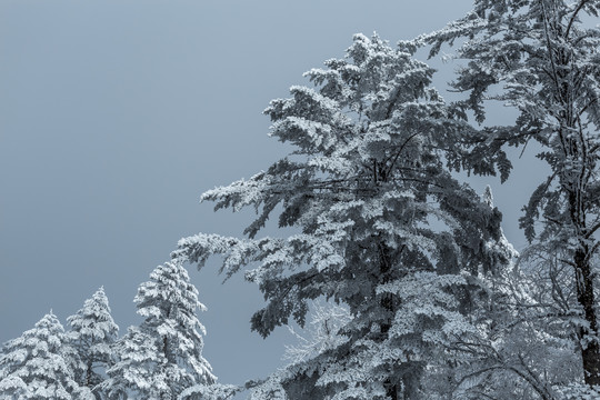 四川川西甘孜泸定县海螺沟雪景