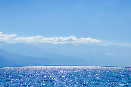 面朝大海