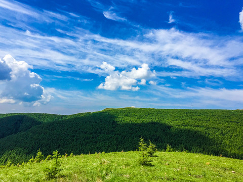 千松坝森林公园