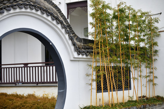 竹子院墙