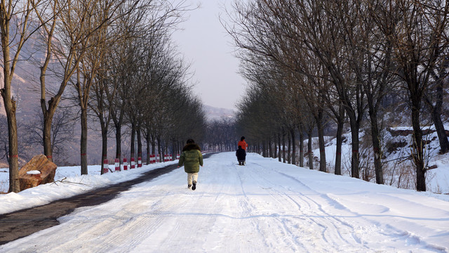 雪地